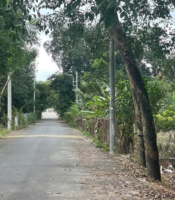 Đất thổ cư Chánh Phú Hòa 200m² giá 1 tỷ - Gần DT 741, sổ hồng chính chủ!