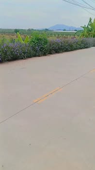 Đất nền góc đấu giá tại Làng Trạm - Bạch Đằng - Kinh Môn, 160m², giá thỏa thuận hấp dẫn!