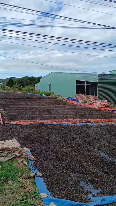 Đất thổ cư 480m² tại xã Diên Bình, Đăk Tô, giá 1 tỷ - Đầu tư sinh lời!