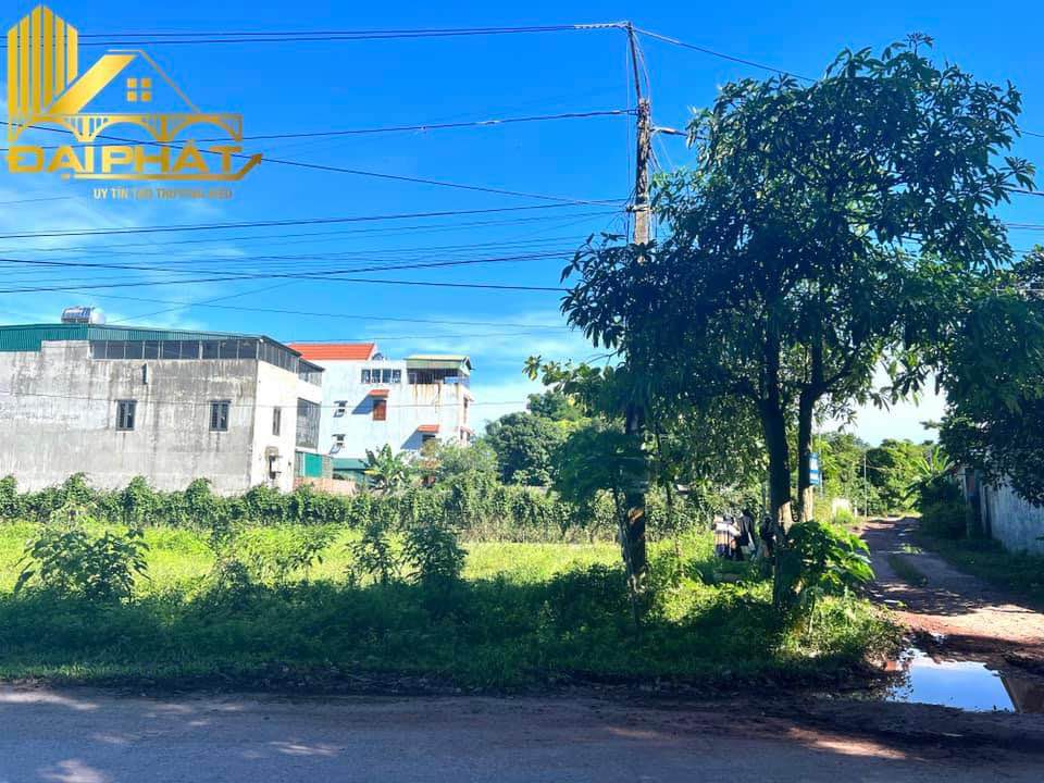 Đất nền góc đường Trần Quang Khải, Hải Hoà 209.5m² - Tiềm năng sinh lời cao!