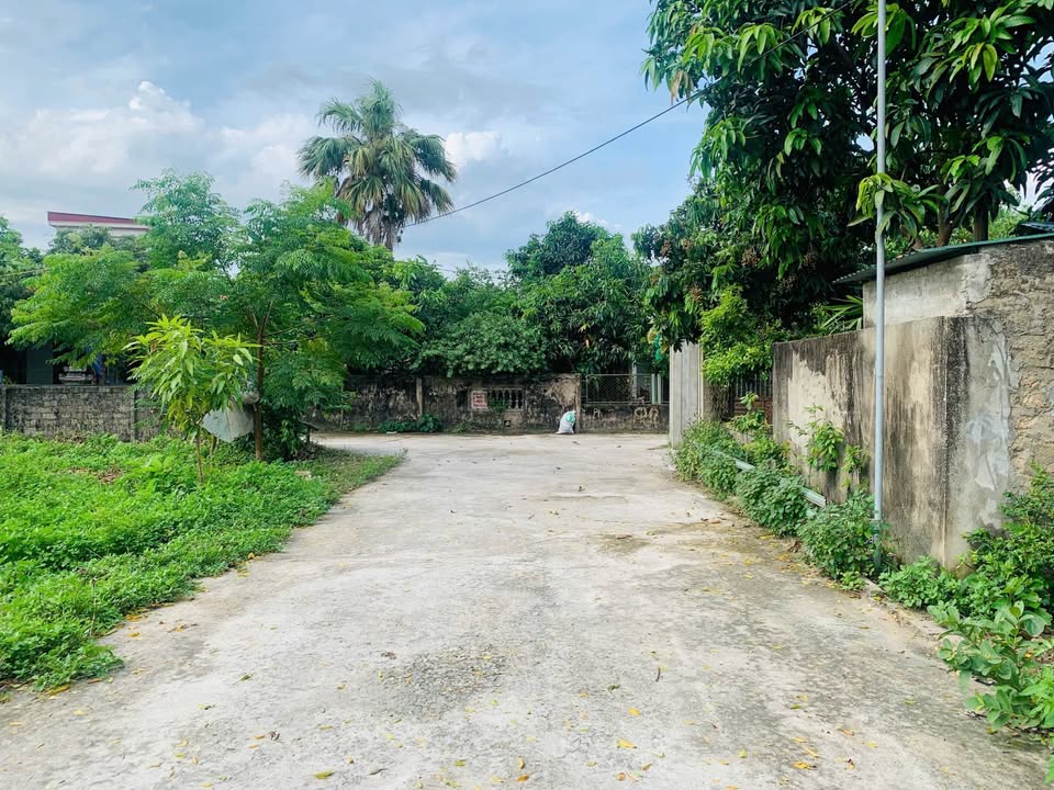 Đất nền Liên Hà - Thạch Hạ 155.8m² giá 1.8 tỷ - Đường rộng thông thoáng