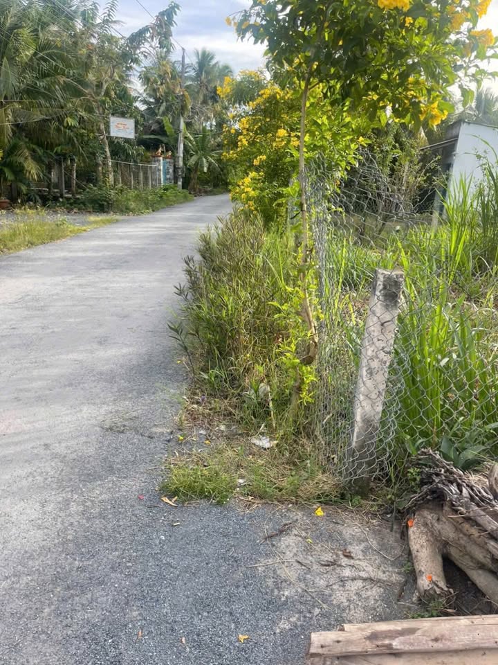 Đất nền mặt tiền Lương Hòa, Giồng Trôm 120m² giá 500 triệu - Đầu tư sinh lời cao!