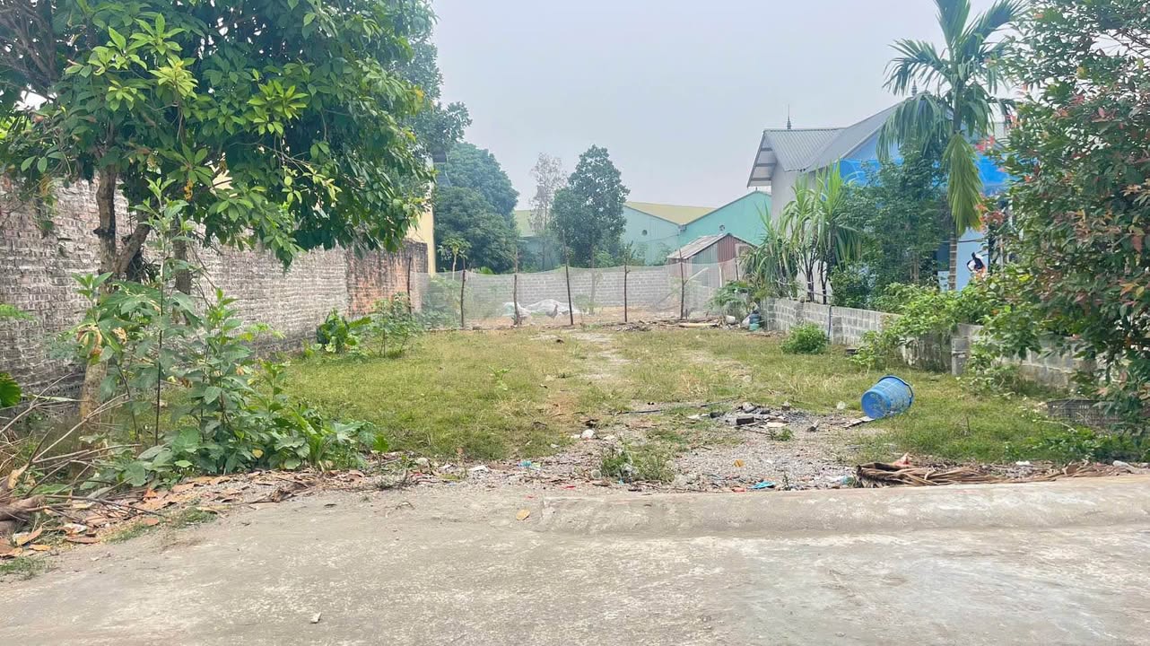 Lô đất vàng tại xã Nhuận Trạch, huyện Lương Sơn 391m² giá 3.8 tỷ - Đầu tư sinh lời ngay!