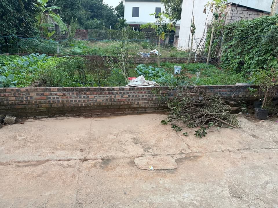 Đất nền Tích Giang, Phúc Thọ 58m² giá 1.6 tỷ - Đường ô tô vào tận nơi!