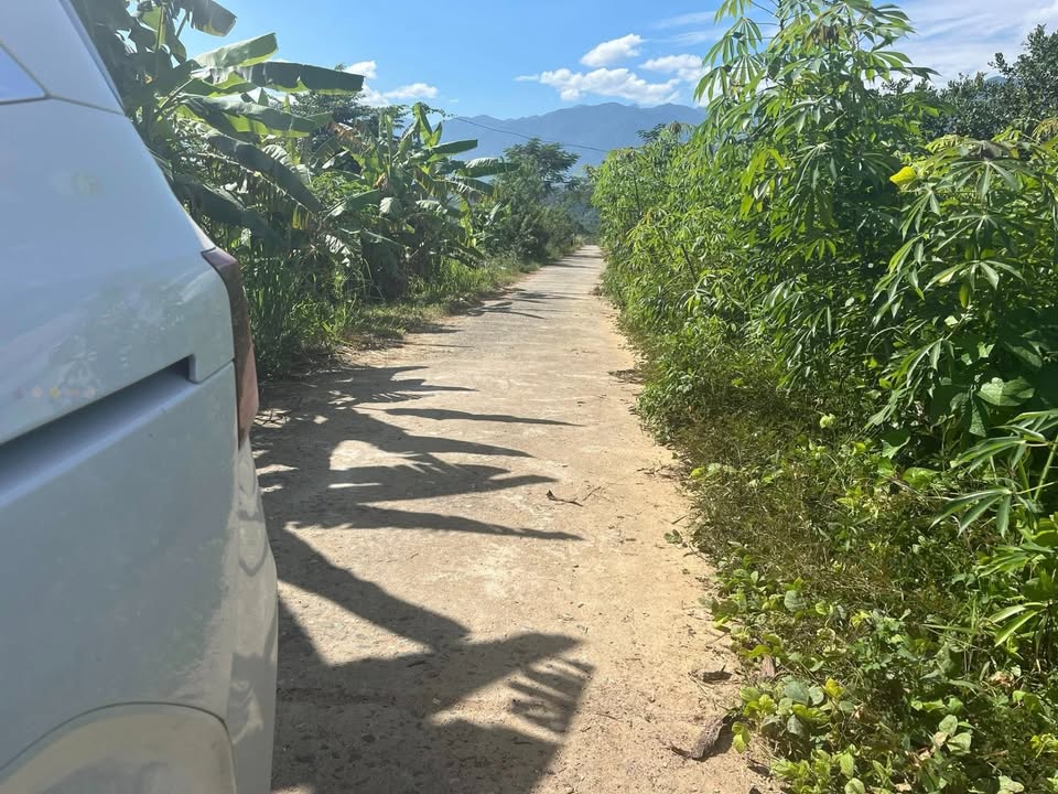 Đất Farm Khánh Thượng, Khánh Vĩnh 10.000m² giá chỉ 1.2 tỷ - Cơ hội đầu tư tuyệt vời!