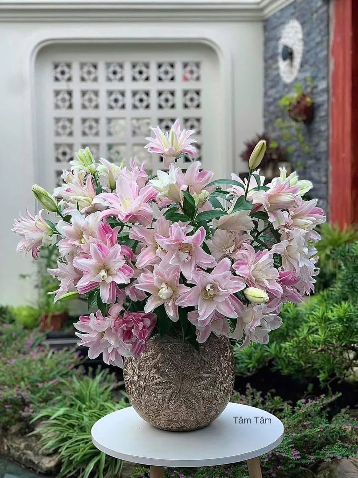 Đất nền ô góc 2 mặt tiền khu 8 Hải Hoà 177m² giá 2 tỷ - Đầu tư sinh lời ngay!