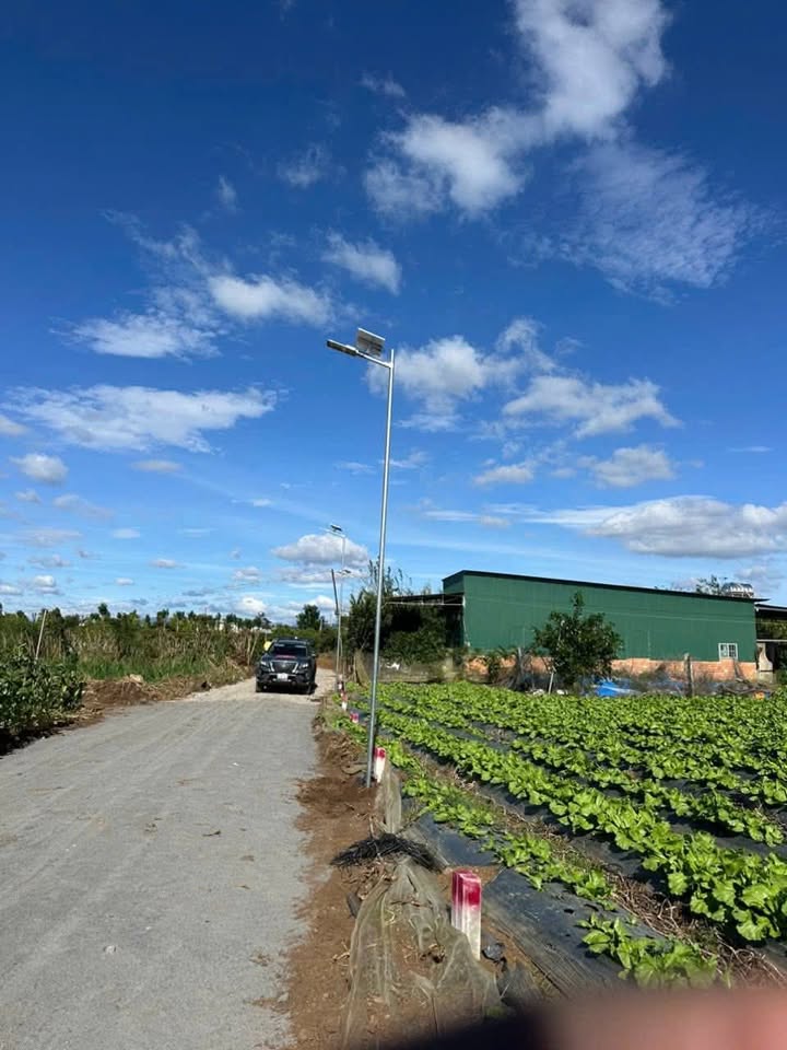 Đất nền Tân Hội 200m² giá chỉ 580 triệu - Sổ đỏ chính chủ