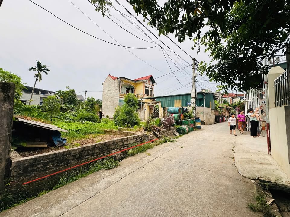 Đất nền Thôn My Hạ, xã Thanh Mai 48m² giá 2.9 tỷ - Đường ô tô vào tận nơi!