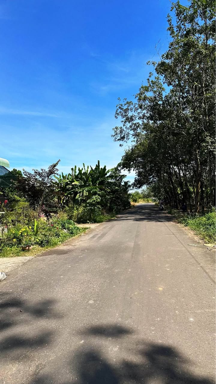 Đất thổ cư 275m² An Linh, Phú Giáo giá 600 triệu - Đất đẹp, vị trí sầm uất!