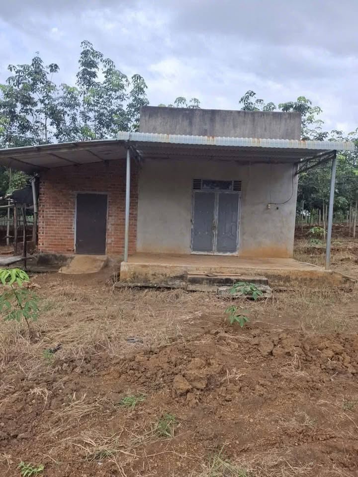 Farm Lộc Quang 14.000m² giá 2 tỷ - Đầu tư sinh lời hấp dẫn!