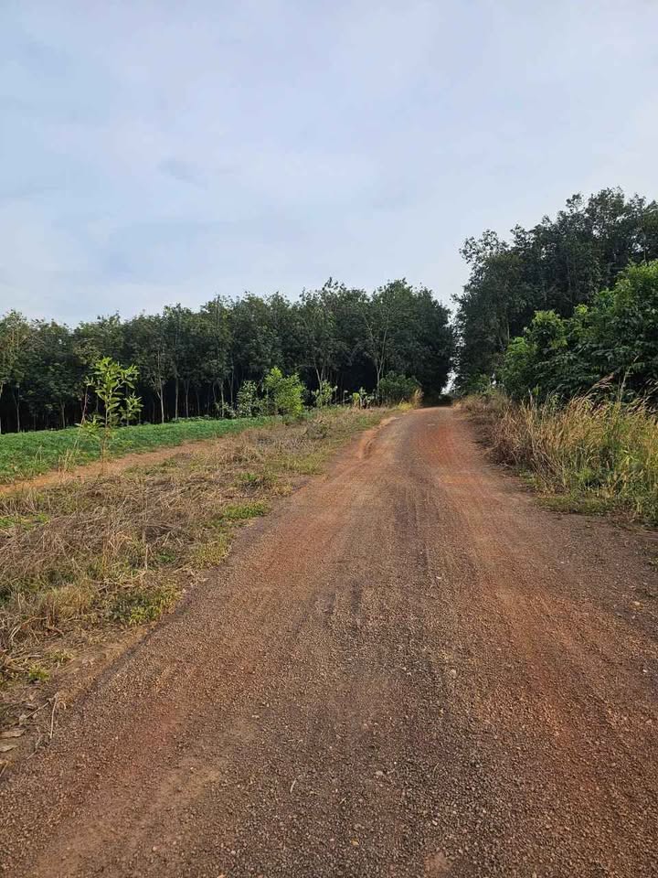 Đất nền Ấp 3 Tiến Hưng, Đồng Xoài 215m² chỉ 400 triệu - Cần bán gấp!