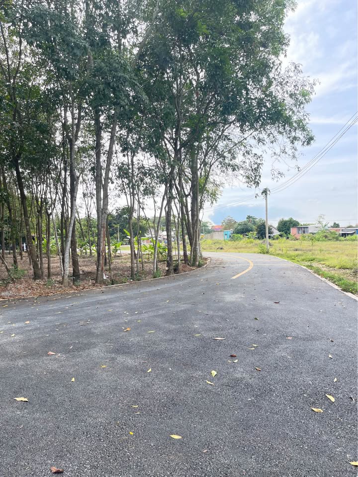 Đất nền Chánh Phú Hòa 130m² giá 1.4 tỷ - Đường nhựa 7m thuận tiện