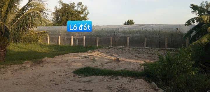 Đất Nền Ninh Phước 541m² giá 600 triệu - Sổ hồng chính chủ, thương lượng nhẹ!