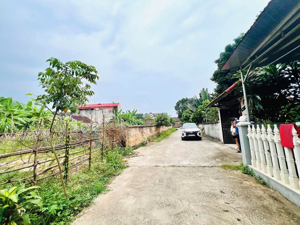 Đất nền Tề Lễ - Tam Nông 120m² giá 600 triệu - Khu vực giao thông thuận lợi!