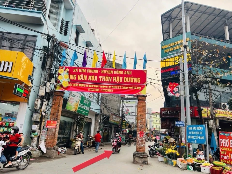 Lô đất Đông Anh 88m² giá 1X tỷ - View hồ điều hòa trong lành