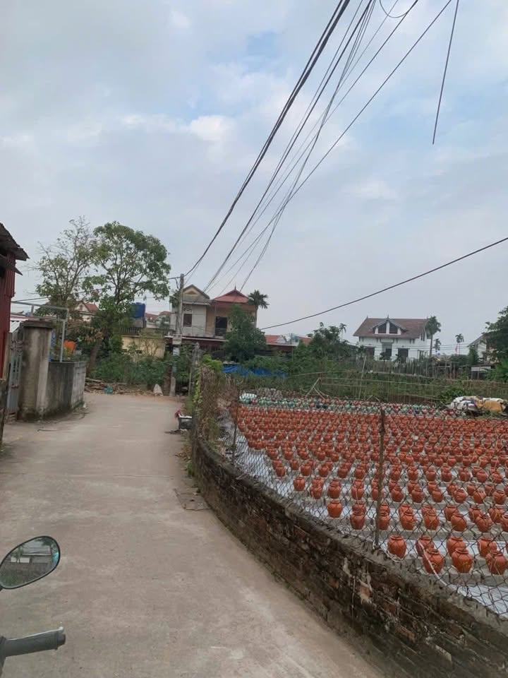 Đất nền Mễ Sở, Văn Giang 99m² - Cơ hội đầu tư sinh lời không thể bỏ qua!