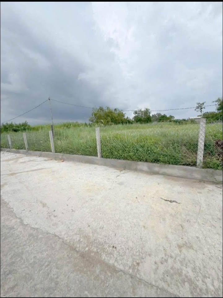 Đất thổ cư Phước Lý Cần Giuộc 1260m² giá 4.1 tỷ - Đường xe hơi vào tận nơi!