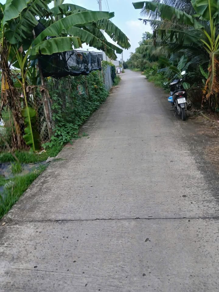 Bán đất phường Mỹ Phước Tây, thị xã Cai Lậy, 324m² giá 1,6 tỷ - Đường xe hơi tới nơi!