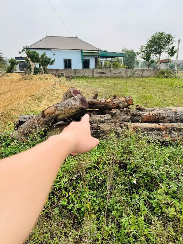 Đất mặt đường 24m Nghi Phong 260m² giá 7.28 tỷ - Đầu tư sinh lời tốt!