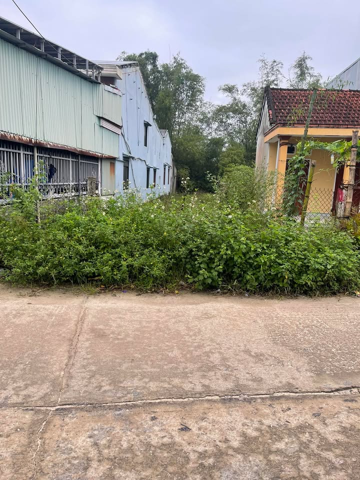 Đất nền chính chủ Bình Nguyên, Thăng Bình, Quảng Nam 194m² - Giá chỉ 1.2 tỷ!