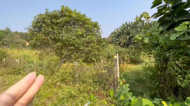 Đất nền đẹp Xuân Thủy, Yên Lập 630m² giá 699 triệu - Tiềm năng đầu tư lớn!