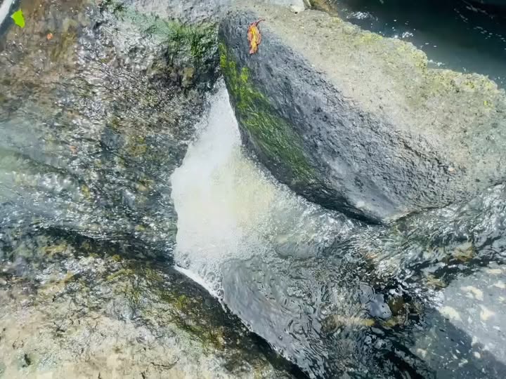 Đất nền Ninh Thượng Khánh Hòa 1000m² giá 200 triệu - Cơ hội đầu tư tuyệt vời!