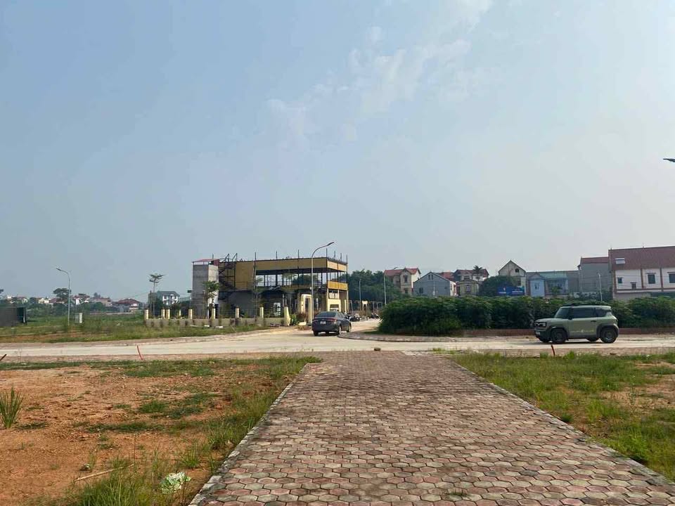 Đất đấu giá Đông Lai 95m² giá thỏa thuận - Tiềm năng kinh doanh lớn!