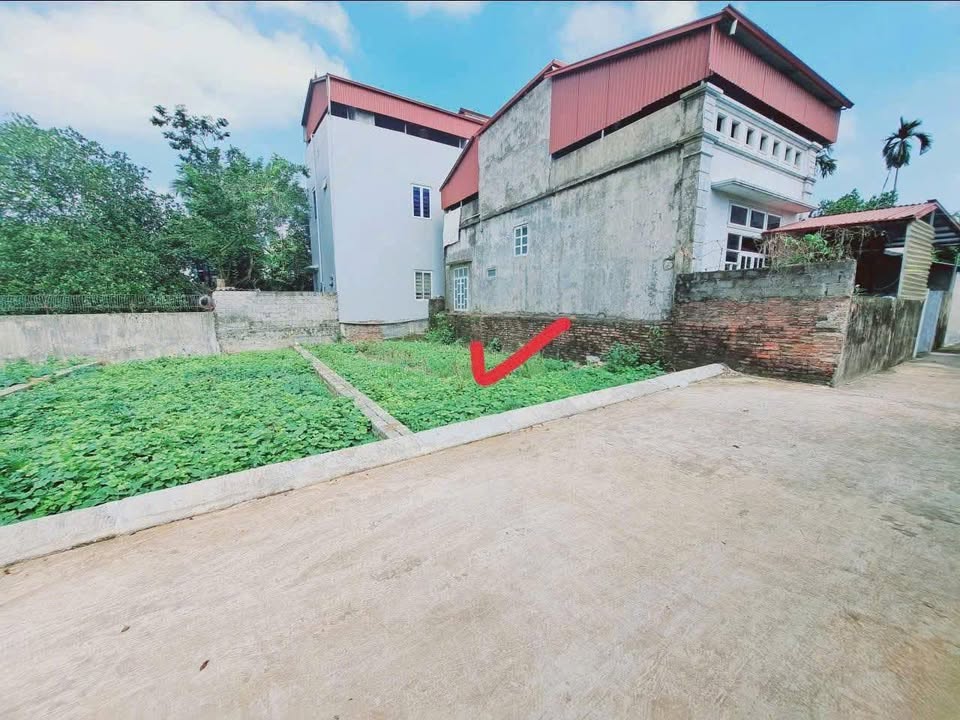 Lô đất 82,8m² xã Đại Hưng, huyện Mỹ Đức, Hà Nội - Sổ đỏ chính chủ, giá chỉ 1,5 tỷ!