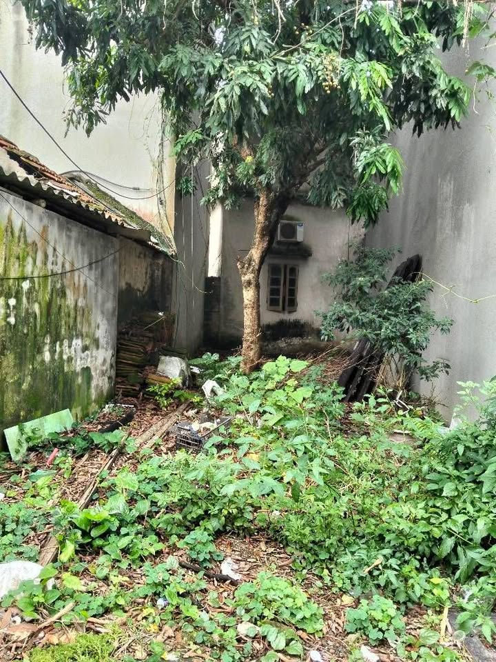 Đất thổ cư Ngọc Hồi, Thanh Trì 60m² giá 4 tỷ - Tiềm năng tăng giá vượt bậc!