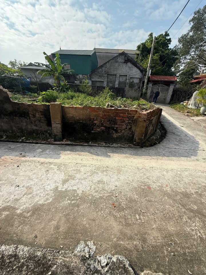 Đất nền Tân Ước 51.5m² giá chỉ 3.3 tỷ - Lô góc ô tô đậu tận cửa!