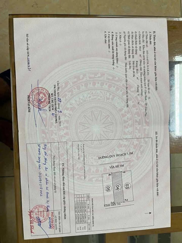 Đất nền Green Pack Cẩm Bình 80m² giá 2 tỷ - Vị trí thuận lợi gần VinCom!