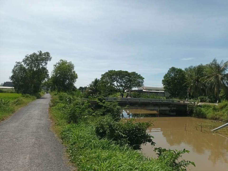 Đất nền Hòa Thuận 2424m² giá 2.9 tỷ - Đầu tư tiềm năng với nhiều lựa chọn phát triển!