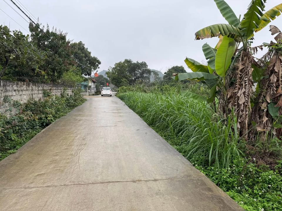 Đất thổ cư Lạc Thịnh, Yên Thủy 2378m² giá 3.2 tỷ - Cơ hội đầu tư hấp dẫn!