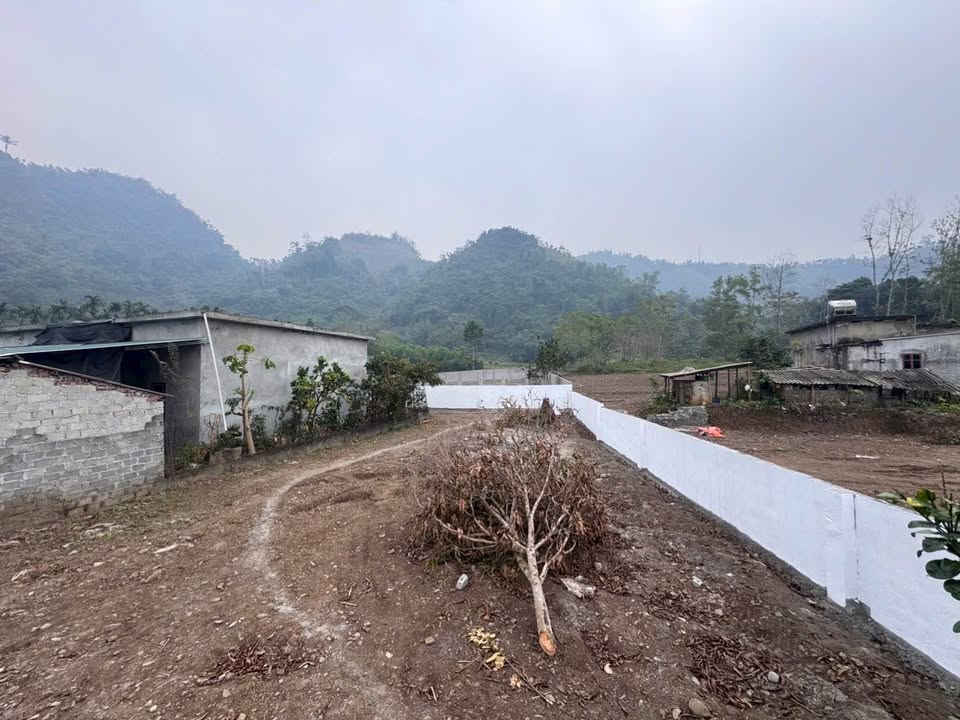 Đất thổ cư Hùng Sơn Kim Bôi 377m² giá thỏa thuận - View núi đẹp, không khí trong lành!