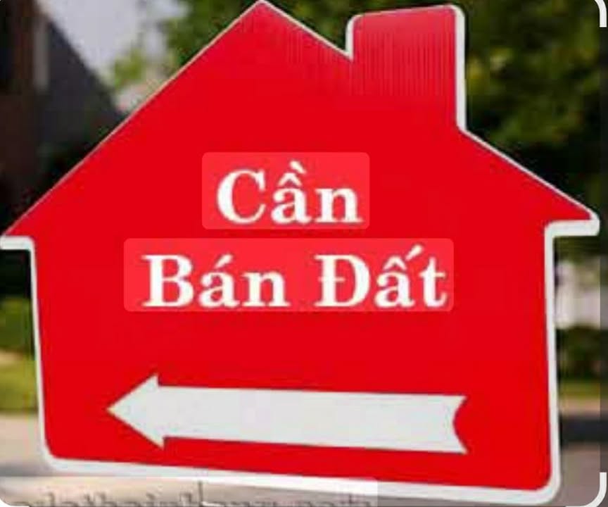 Đất thổ cư 100m² tại Phú Hiệp, Đắk Lắk - Chính chủ bán gấp chỉ 1.2 tỷ!