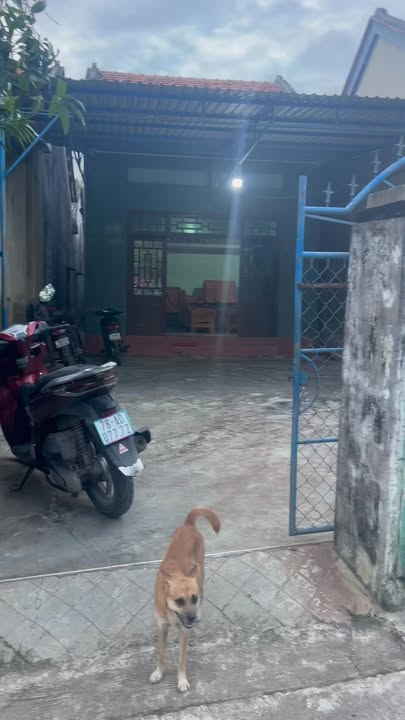 Nhà cấp 4 gác lửng Hòa An Phú Hòa 253.5m² giá 1.3 tỷ - Đầy đủ nội thất!