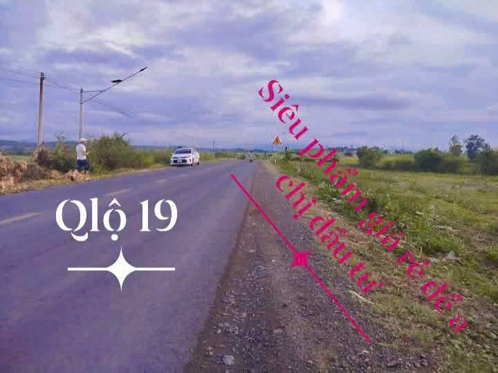 Đất nền mặt tiền Quốc lộ 19, xã Đức Bình Tây, 145m² giá chỉ 300 triệu - Cơ hội đầu tư hấp dẫn!