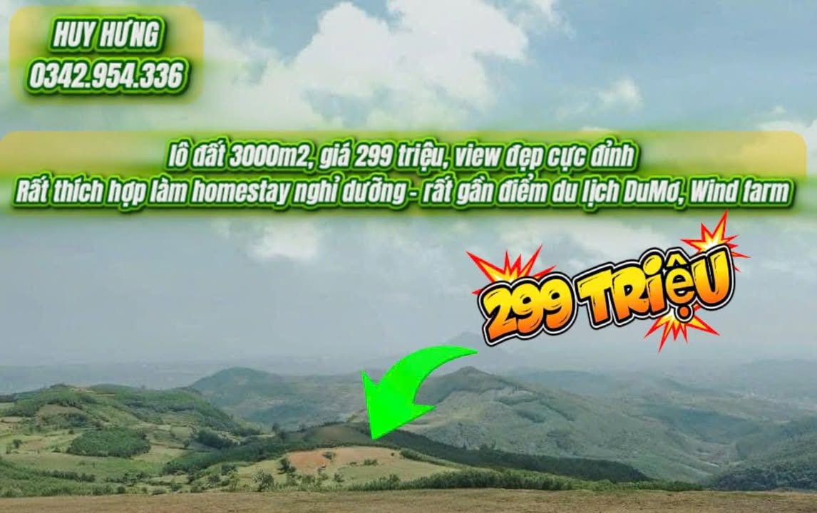 Đất nền Tuy An Phú Yên 3000m² giá chỉ 2XX triệu - Phù hợp mở homestay nghỉ dưỡng!