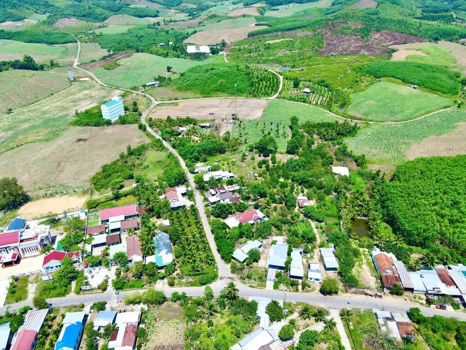 Bán đất trang trại 4,2ha Khánh Nam - Chỉ 3 tỷ, ô tô vào tận nơi!