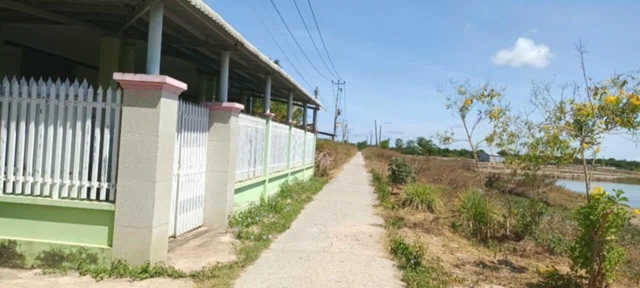 Đất nền 23.000m² tại ấp Cây Da, Trà Vinh - Giá 2.875 tỷ, thương lượng ngay!