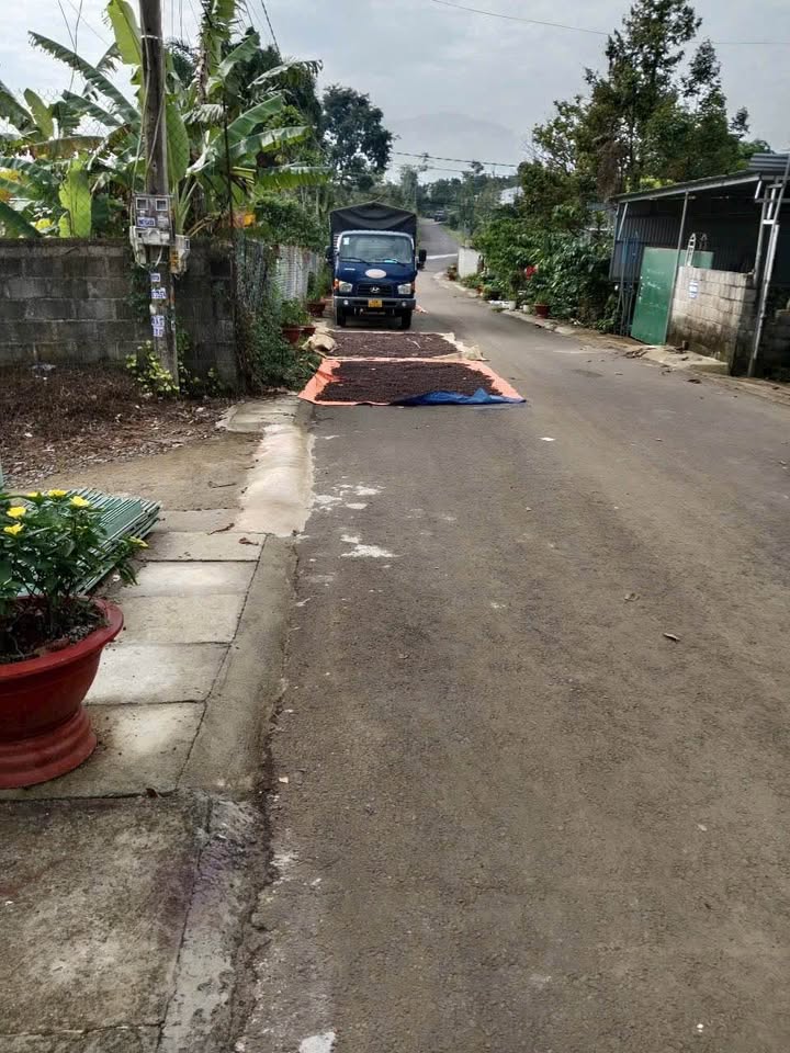 Nhà Bảo Lộc 110m² giá 1.75 tỷ - Full thổ cư, sẵn sàng ở ngay!