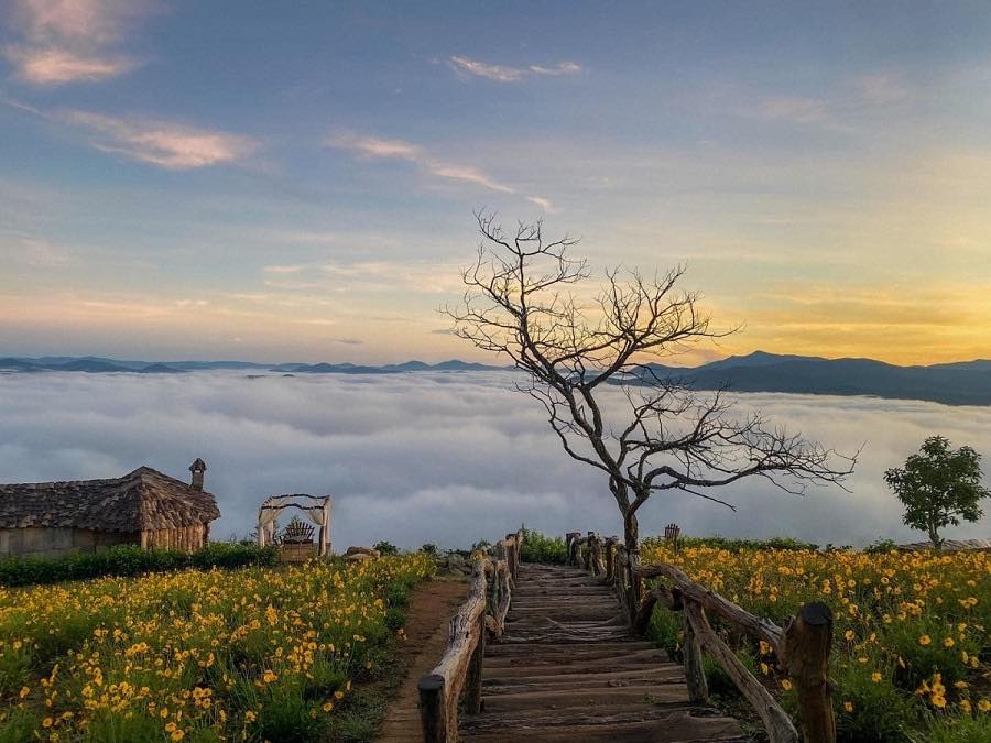 Mặt bằng cho thuê mặt tiền Đà Lạt 36m² giá 7 triệu - Kinh doanh mọi ngành nghề!