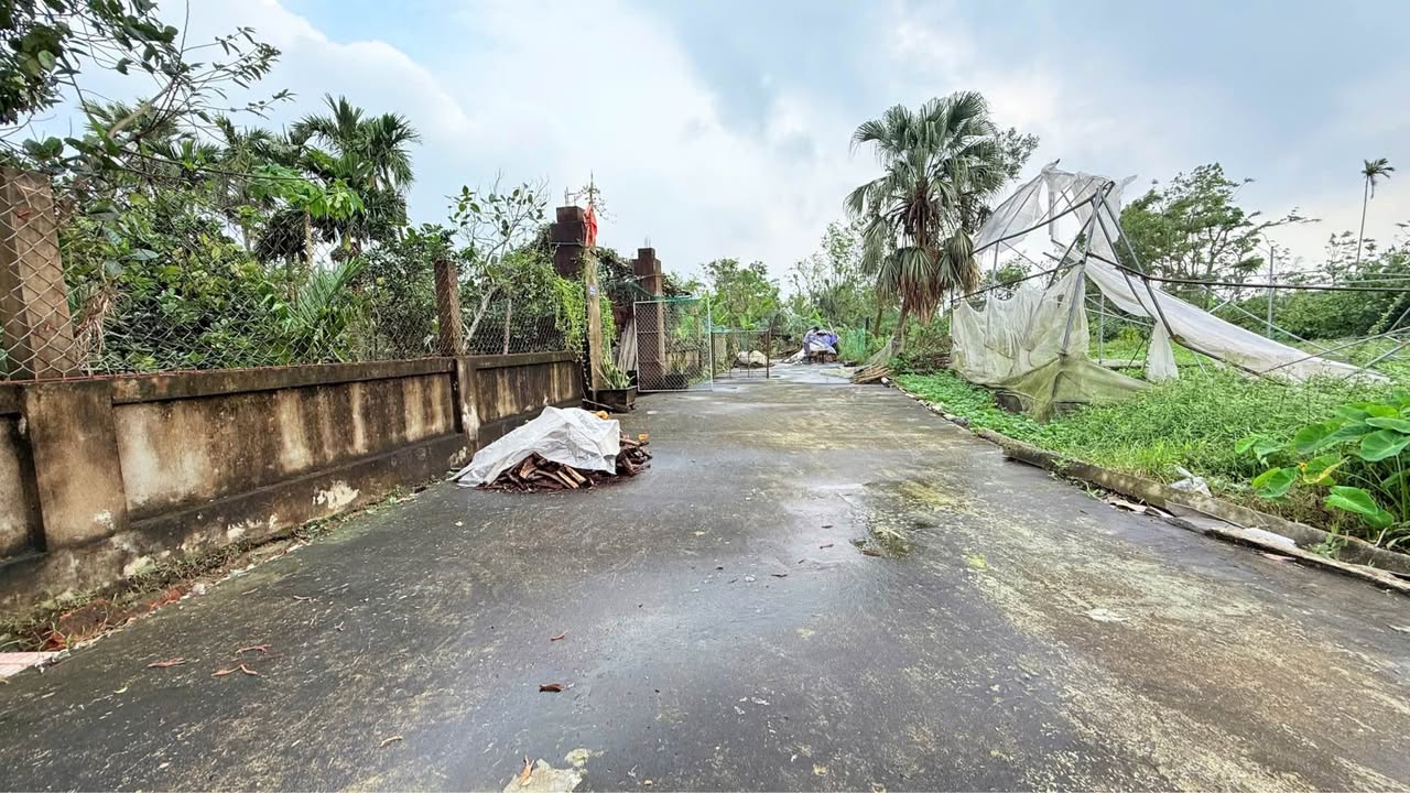 Đất Thôn Liên Thanh, Trần Phú 149.6m² giá 1.6 tỷ - Đầu tư sinh lời tuyệt vời!