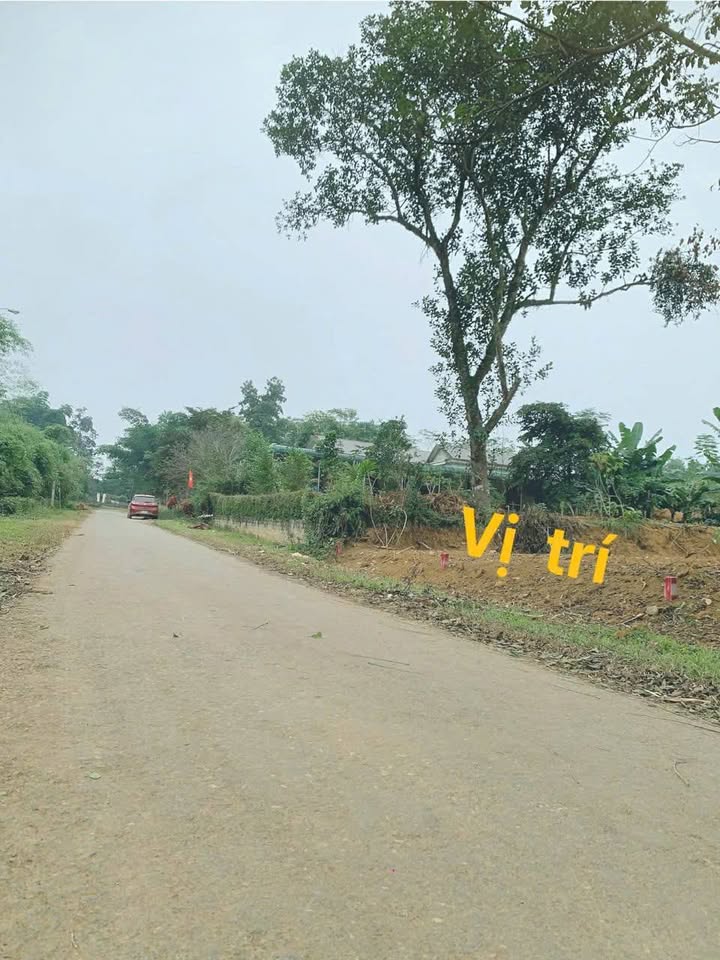 Đất nền thổ cư Ngọc Sơn, Ngọc Lặc 250m² chỉ 200 triệu - Đối diện doanh trại quân đội!