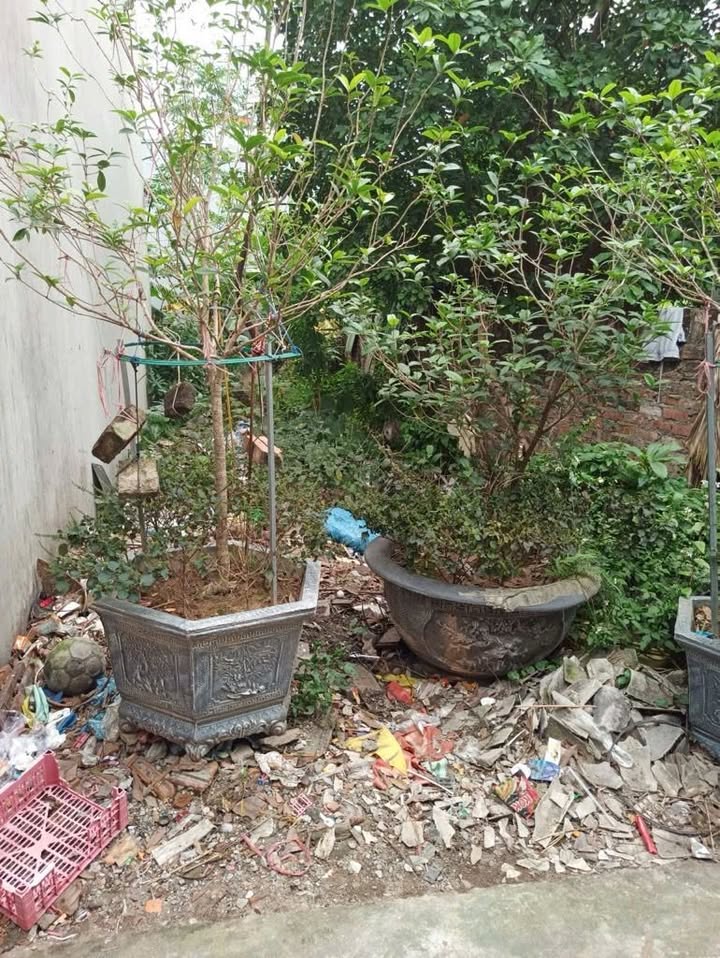 Đất nền Đại Cát, Bắc Từ Liêm 40m² giá 4.85 tỷ - Đầu tư sinh lời tiềm năng!