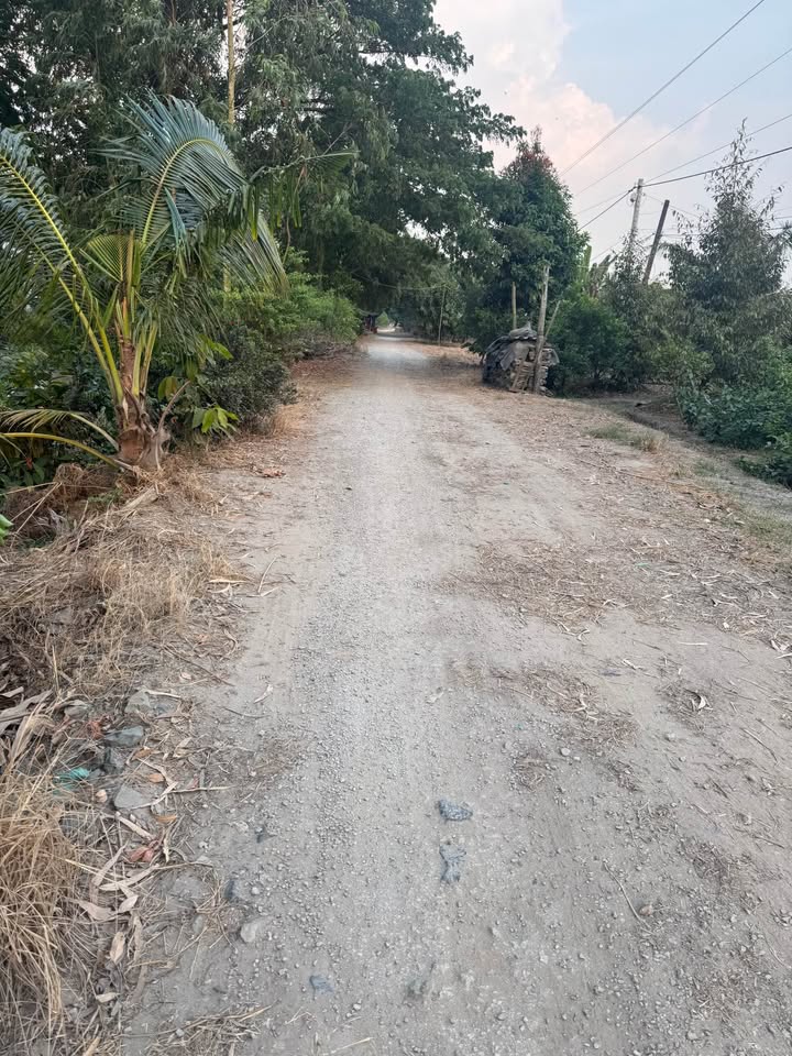 Đất thổ cư 2500m² tại Mỹ Phú Đông, Thoại Sơn - Giá chỉ 2.8 tỷ!