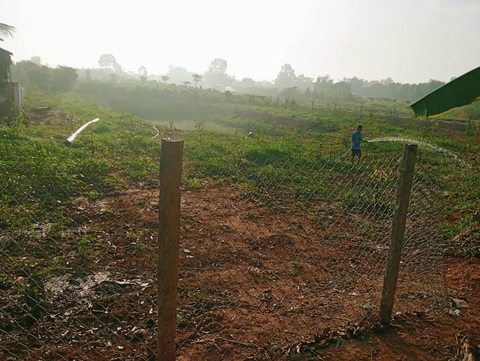 Đất vườn 1170m² tại Mỹ Hòa Hưng, An Giang - Giá chỉ 500 triệu, thương lượng ngay!