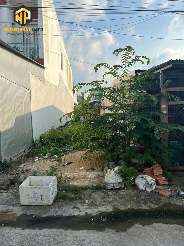 Đất nền đẹp Đường Số 11 Bình Khánh 94.5m² - Đầu tư sinh lời ngay!