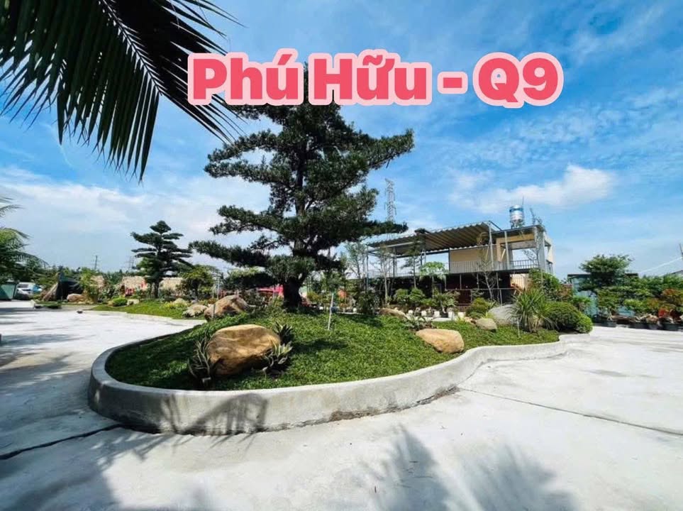 Cho thuê quán cà phê và sân bóng đá 2000m² tại Phú Hữu, Quận 9 - Cơ hội kinh doanh hấp dẫn!