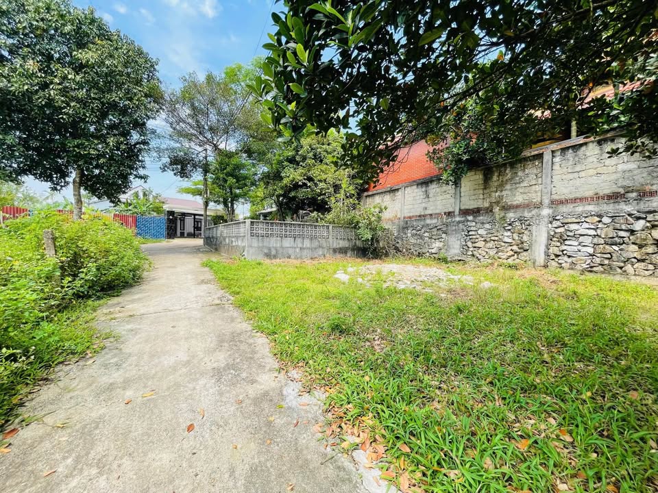 Đất kiệt ô tô Vũ Ngọc Phan 100m² giá 1.2 tỷ - Vị trí thuận tiện, không ngập lụt!